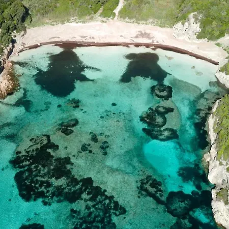 Le Reve Du Large